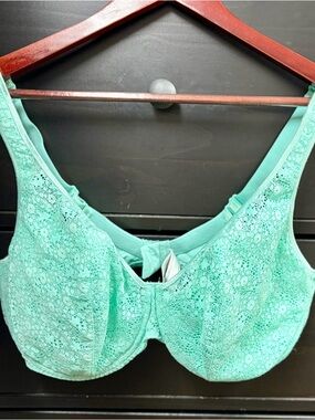 PrimaDonna gorgeous luxury bra in mint green, 40F